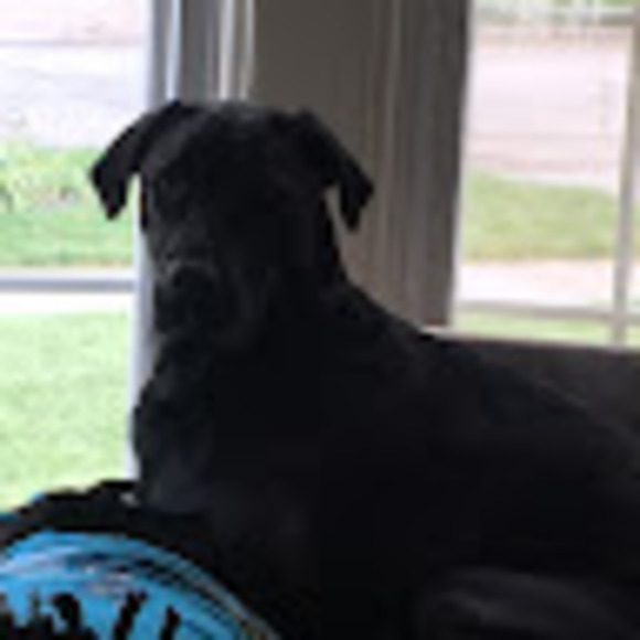 Meet your Posher, Gabby - Picture 1 of 1